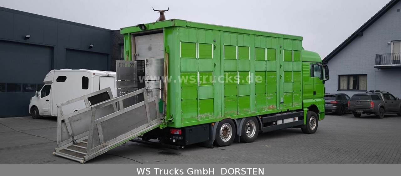 Paardenvrachtwagen MAN TGX 26.480 XL KABA   3 Stock Viehtransporter: afbeelding 10