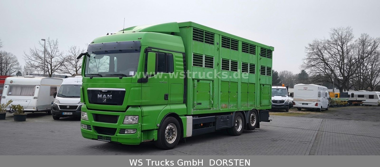MAN TGX 26.480 XL KABA 3 Stock Vollalu - Paardenvrachtwagen: afbeelding 2 MAN TGX 26.480 XL KABA 3 Stock Vollalu - Paardenvrachtwagen: afbeelding 2