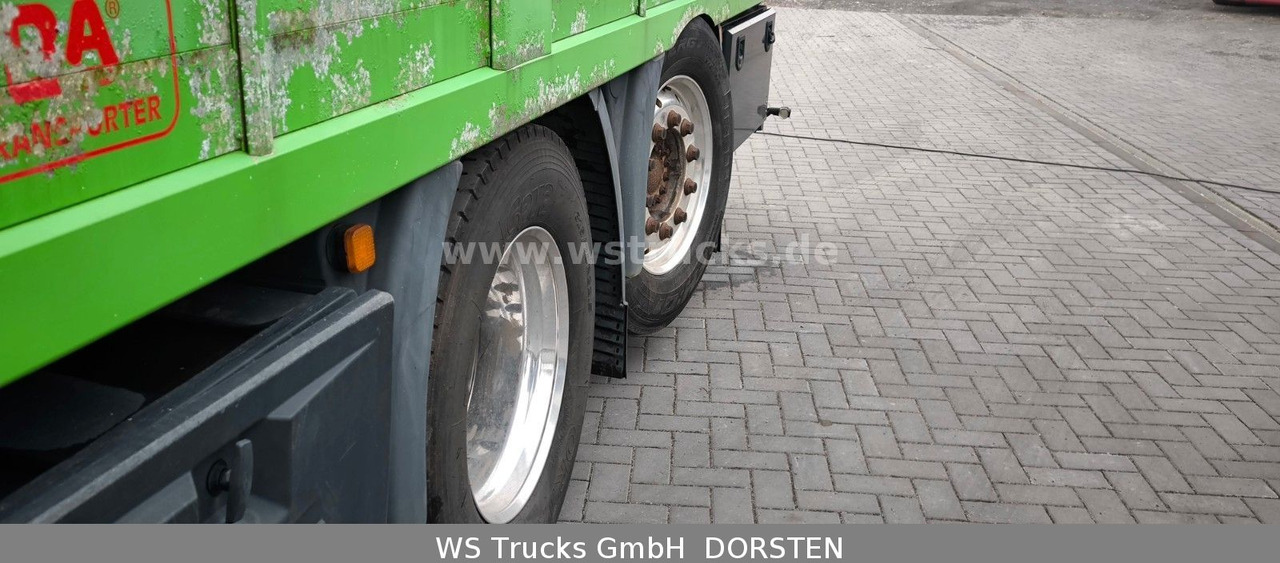 MAN TGX 26.480 XL KABA 3 Stock Vollalu - Paardenvrachtwagen: afbeelding 5 MAN TGX 26.480 XL KABA 3 Stock Vollalu - Paardenvrachtwagen: afbeelding 5