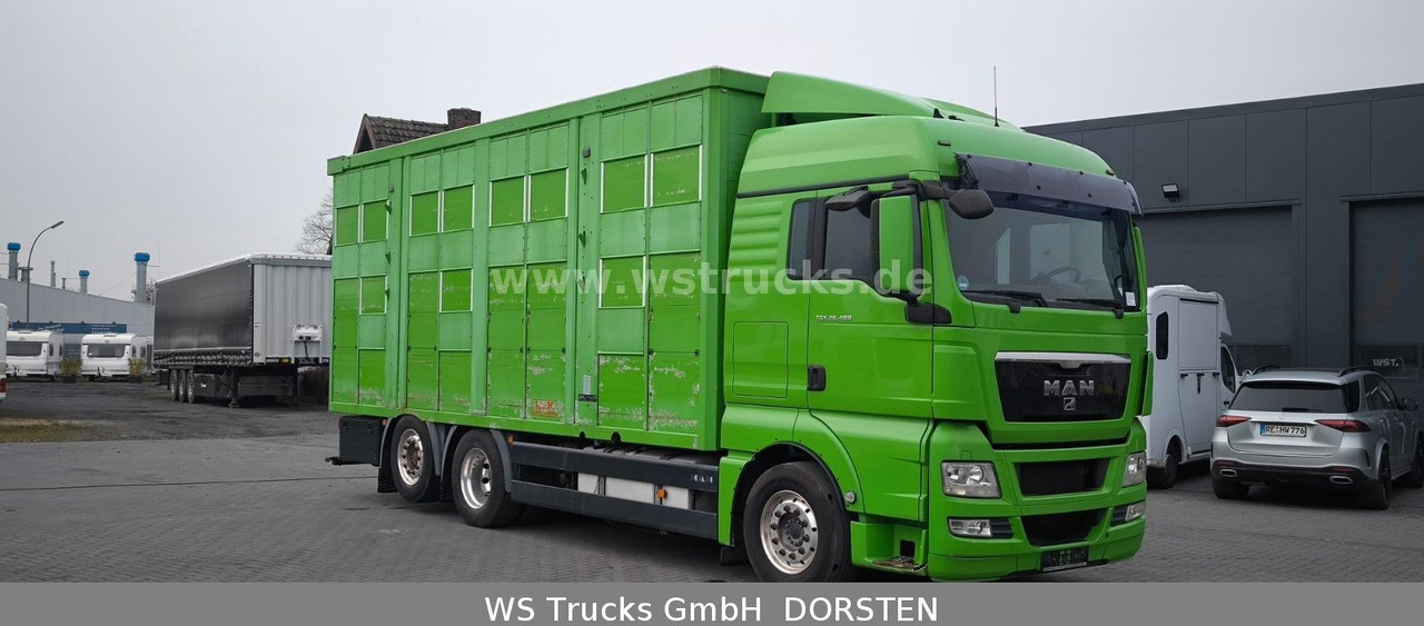 MAN TGX 26.480 XL KABA 3 Stock Vollalu - Paardenvrachtwagen: afbeelding 3 MAN TGX 26.480 XL KABA 3 Stock Vollalu - Paardenvrachtwagen: afbeelding 3
