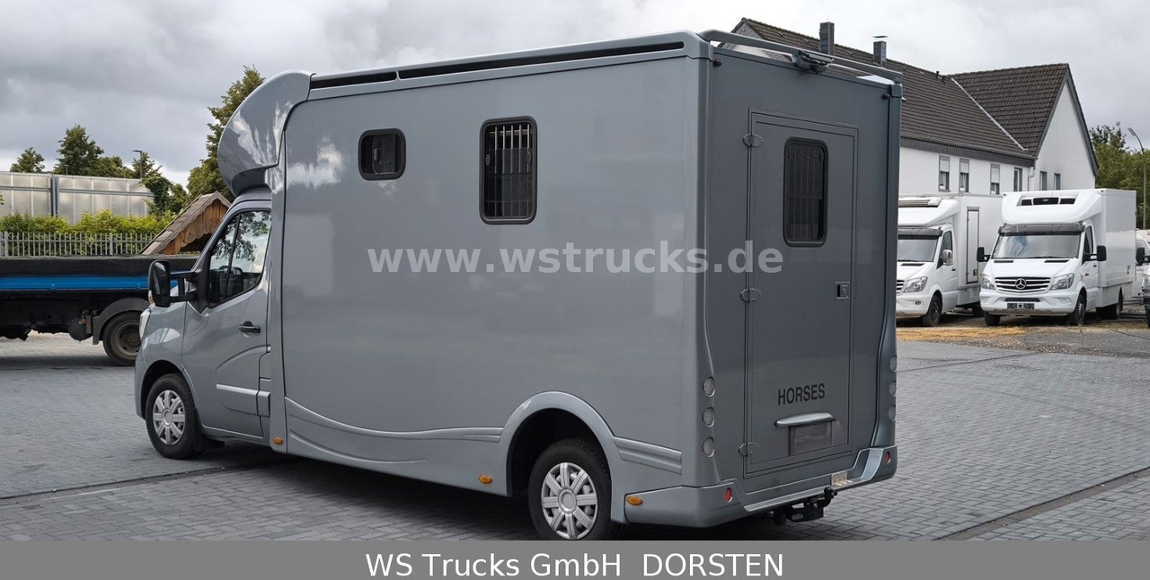 Renault Master 3 Sitze VollLeder Hengstausstattung - Paardenvrachtwagen: afbeelding 4 Renault Master 3 Sitze VollLeder Hengstausstattung - Paardenvrachtwagen: afbeelding 4
