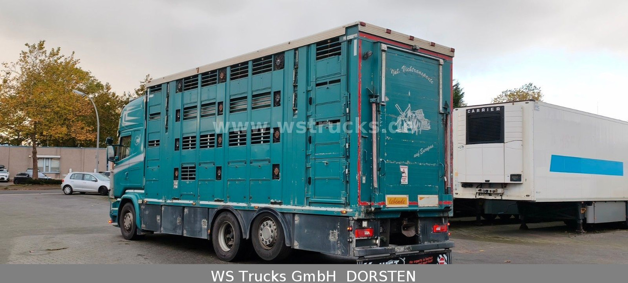 Scania R 490 Topline Menke 4 Stock Hubdach | Retader - Paardenvrachtwagen: afbeelding 4 Scania R 490 Topline Menke 4 Stock Hubdach | Retader - Paardenvrachtwagen: afbeelding 4