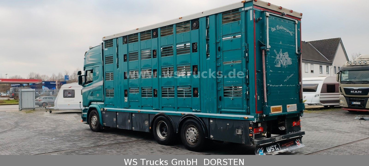 Scania R 490 Topline Menke 4 Stock Hubdach | Retader - Paardenvrachtwagen: afbeelding 5 Scania R 490 Topline Menke 4 Stock Hubdach | Retader - Paardenvrachtwagen: afbeelding 5