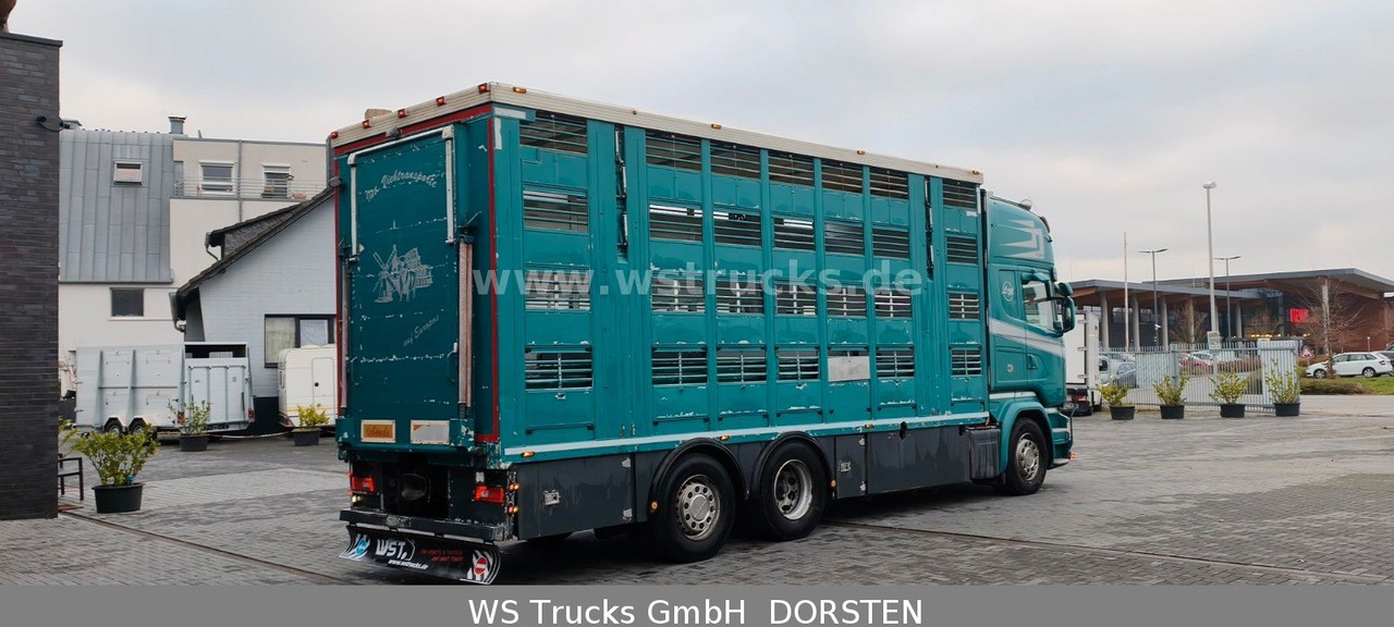 Scania R 490 Topline Menke 4 Stock Hubdach | Retader - Paardenvrachtwagen: afbeelding 4 Scania R 490 Topline Menke 4 Stock Hubdach | Retader - Paardenvrachtwagen: afbeelding 4
