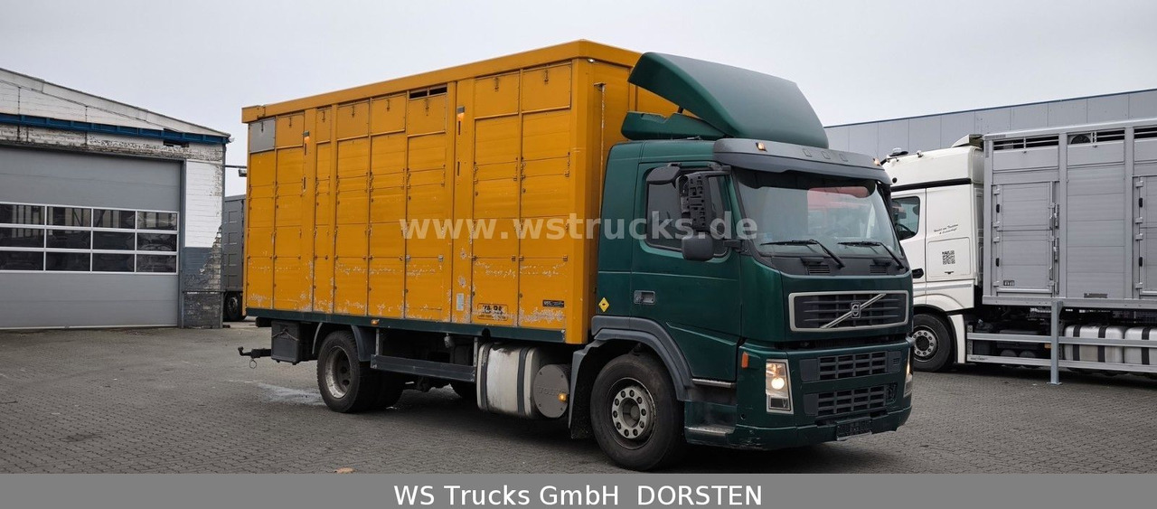 Volvo FM 260 mit KABA 2 Stock Vollalu - Paardenvrachtwagen: afbeelding 3 Volvo FM 260 mit KABA 2 Stock Vollalu - Paardenvrachtwagen: afbeelding 3