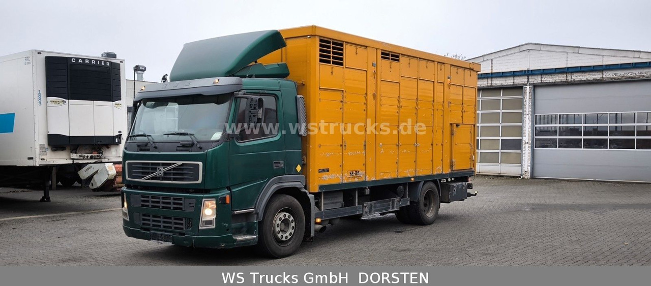 Volvo FM 260 mit KABA 2 Stock Vollalu - Paardenvrachtwagen: afbeelding 2 Volvo FM 260 mit KABA 2 Stock Vollalu - Paardenvrachtwagen: afbeelding 2