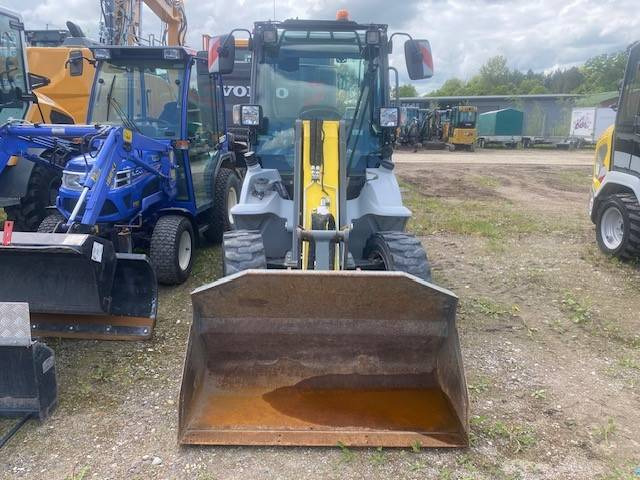 Kramer 5035 MIETE / RENTAL (12001692) - Wiellader: afbeelding 2 Kramer 5035 MIETE / RENTAL (12001692) - Wiellader: afbeelding 2