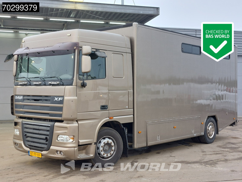 DAF XF105.410 XF 4X2 NL-Truck JK Horsetruck 6 Horses Pferdentransport Manual Euro 5 - Paardenvrachtwagen: afbeelding 1 DAF XF105.410 XF 4X2 NL-Truck JK Horsetruck 6 Horses Pferdentransport Manual Euro 5 - Paardenvrachtwagen: afbeelding 1