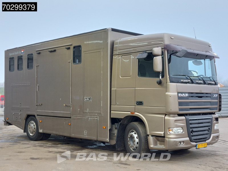 DAF XF105.410 XF 4X2 NL-Truck JK Horsetruck 6 Horses Pferdentransport Manual Euro 5 - Paardenvrachtwagen: afbeelding 3 DAF XF105.410 XF 4X2 NL-Truck JK Horsetruck 6 Horses Pferdentransport Manual Euro 5 - Paardenvrachtwagen: afbeelding 3