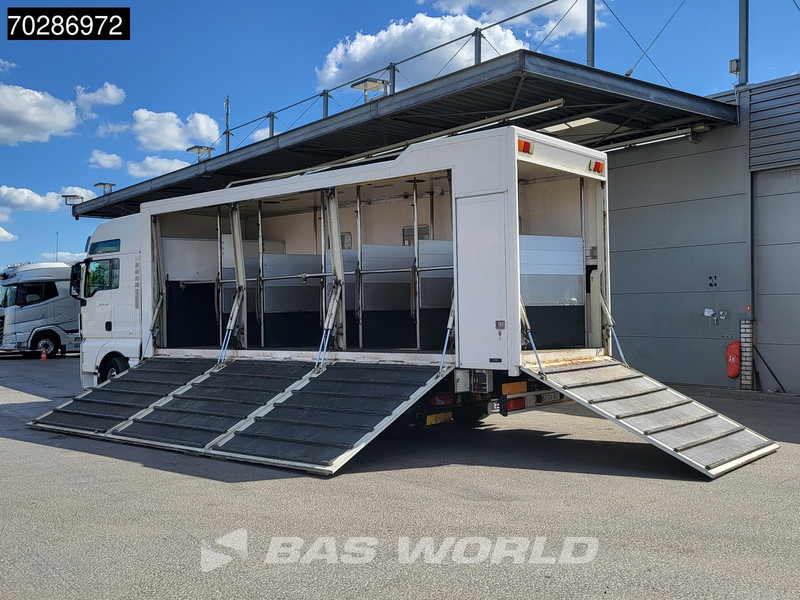MAN TGX 26.480 TGX 6X2 NL-Truck BDF HorseTransport Lift+steering axle Standklima Automatic Xenon Alcoa´s Euro 5 - Containertransporter/ Wissellaadbak vrachtwagen: afbeelding 2 MAN TGX 26.480 TGX 6X2 NL-Truck BDF HorseTransport Lift+steering axle Standklima Automatic Xenon Alcoa´s Euro 5 - Containertransporter/ Wissellaadbak vrachtwagen: afbeelding 2