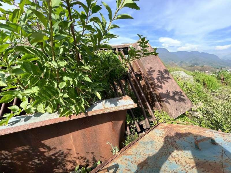 Zeefinstallatie Powerscreen SAUTERELLE: afbeelding 15