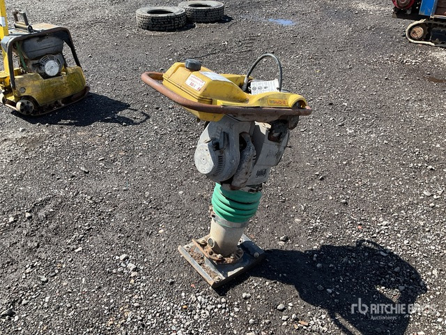 2017 Wacker Neuson BS60-2 Jumping Jack Tamper - Trilstamper: afbeelding 4 2017 Wacker Neuson BS60-2 Jumping Jack Tamper - Trilstamper: afbeelding 4