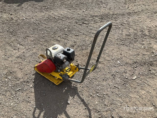 2019 Wacker Neuson VP1135A Vibratory Plate Compactor - Trilplaat: afbeelding 4 2019 Wacker Neuson VP1135A Vibratory Plate Compactor - Trilplaat: afbeelding 4