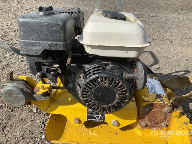 2019 Wacker Neuson VP1135A Vibratory Plate Compactor - Trilplaat: afbeelding 5 2019 Wacker Neuson VP1135A Vibratory Plate Compactor - Trilplaat: afbeelding 5