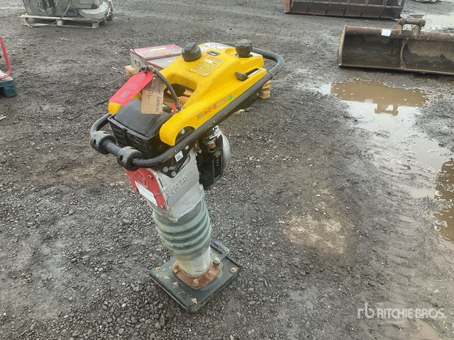 2020 Wacker Neuson BS50-2plus Demolition Breaker Jumping Jack Tamper - Trilstamper: afbeelding 1 2020 Wacker Neuson BS50-2plus Demolition Breaker Jumping Jack Tamper - Trilstamper: afbeelding 1