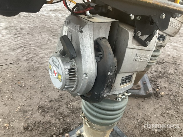 2020 Wacker Neuson BS50-2plus Jumping Jack Tamper Jumping Jack Tamper - Trilstamper: afbeelding 5 2020 Wacker Neuson BS50-2plus Jumping Jack Tamper Jumping Jack Tamper - Trilstamper: afbeelding 5