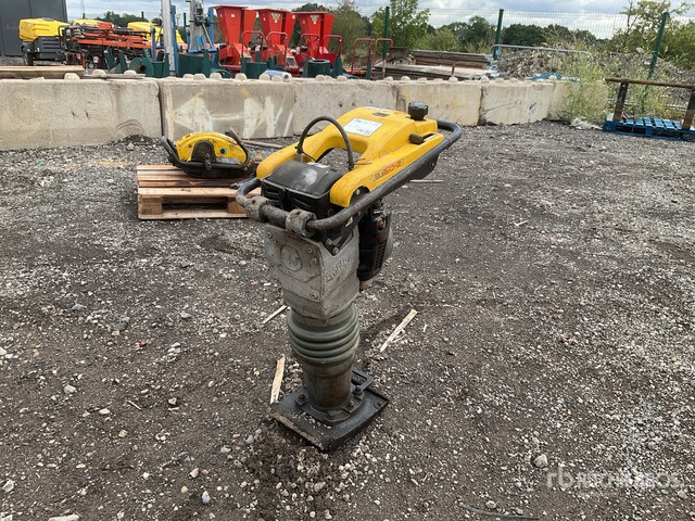 2021 Wacker Neuson BS60-2 Jumping Jack Tamper - Trilstamper: afbeelding 1 2021 Wacker Neuson BS60-2 Jumping Jack Tamper - Trilstamper: afbeelding 1