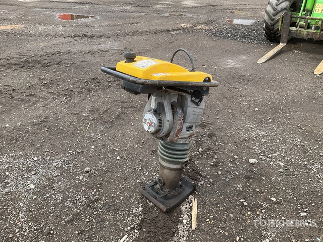 2021 Wacker Neuson BS60-2I Jumping Jack Tamper - Trilstamper: afbeelding 4 2021 Wacker Neuson BS60-2I Jumping Jack Tamper - Trilstamper: afbeelding 4