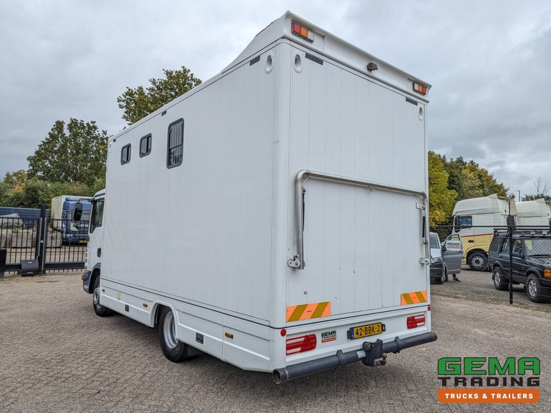 MAN TGL 12.250 4x2 Euro5 EEV RC HorseTruck - 2a3 Paards - 135.000km - MARGE (V821) - Paardenvrachtwagen: afbeelding 4 MAN TGL 12.250 4x2 Euro5 EEV RC HorseTruck - 2a3 Paards - 135.000km - MARGE (V821) - Paardenvrachtwagen: afbeelding 4