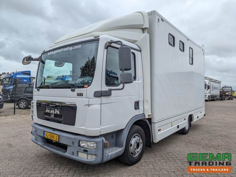 MAN TGL 12.250 4x2 Euro5 EEV RC HorseTruck - 2a3 Paards - 135.000km - MARGE (V821) - Paardenvrachtwagen: afbeelding 2 MAN TGL 12.250 4x2 Euro5 EEV RC HorseTruck - 2a3 Paards - 135.000km - MARGE (V821) - Paardenvrachtwagen: afbeelding 2