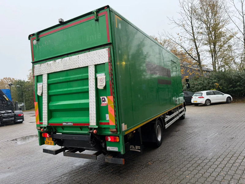 DAF LF 55.180 7.3M Koffer 1500KG LBW Zijdeur NL Truck - Bakwagen: afbeelding 4 DAF LF 55.180 7.3M Koffer 1500KG LBW Zijdeur NL Truck - Bakwagen: afbeelding 4