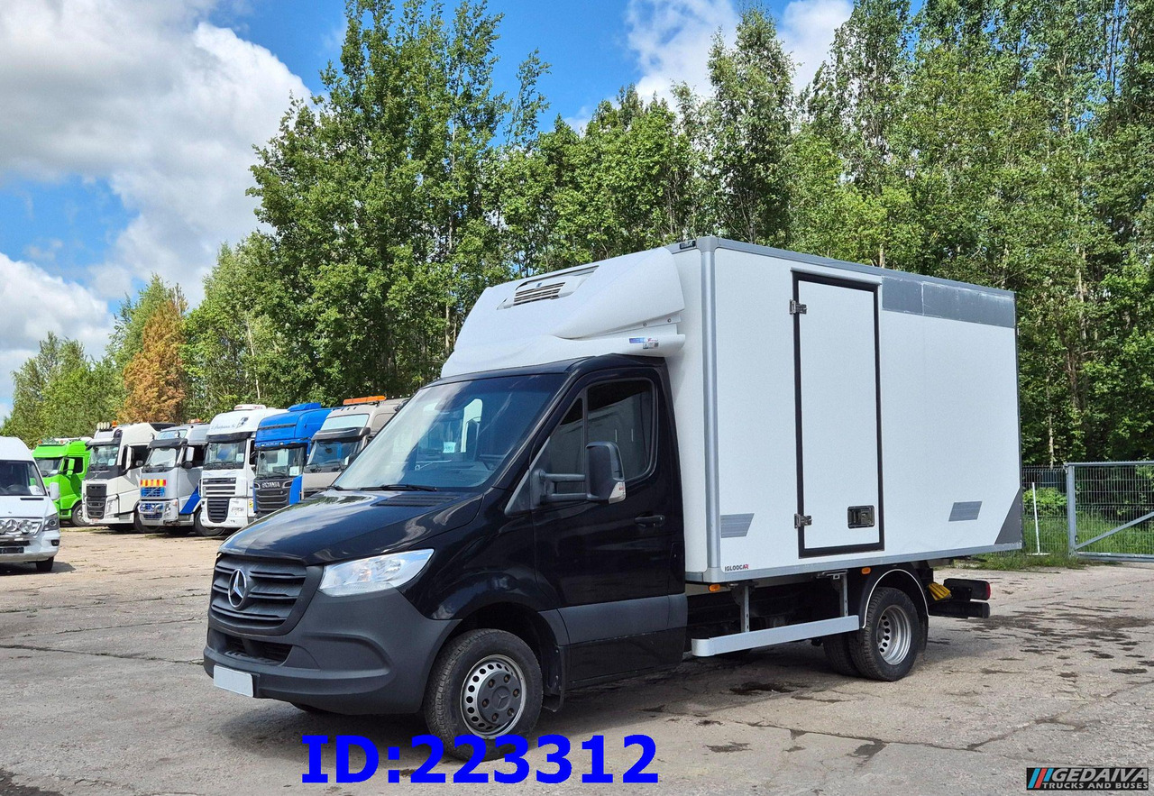 MERCEDES-BENZ Sprinter 516 + Thermo King V-200 MAX - Koelwagen: afbeelding 1 MERCEDES-BENZ Sprinter 516 + Thermo King V-200 MAX - Koelwagen: afbeelding 1