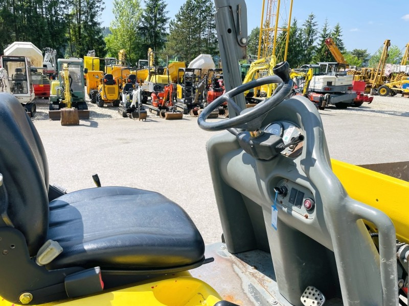 Neuson 1001 (3631) - Minidumper: afbeelding 5 Neuson 1001 (3631) - Minidumper: afbeelding 5