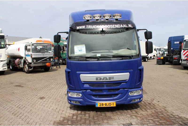 DAF LF 230 + EURO 6 - Veewagen vrachtwagen: afbeelding 2 DAF LF 230 + EURO 6 - Veewagen vrachtwagen: afbeelding 2
