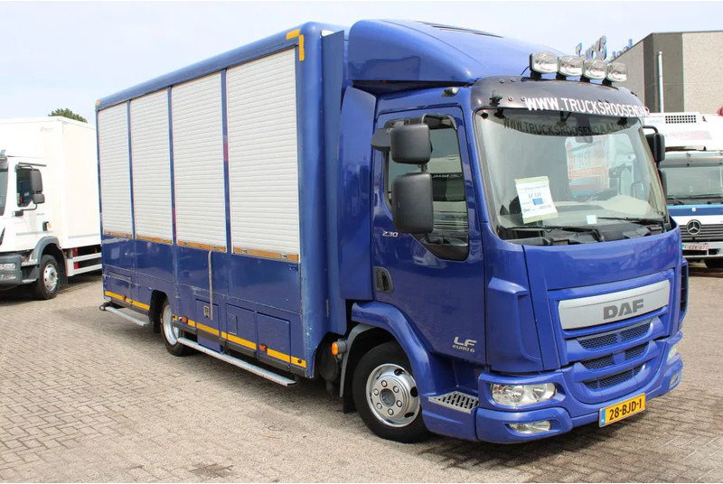 DAF LF 230 + EURO 6 - Veewagen vrachtwagen: afbeelding 3 DAF LF 230 + EURO 6 - Veewagen vrachtwagen: afbeelding 3
