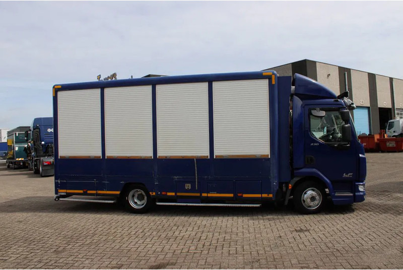 DAF LF 230 + EURO 6 - Veewagen vrachtwagen: afbeelding 4 DAF LF 230 + EURO 6 - Veewagen vrachtwagen: afbeelding 4