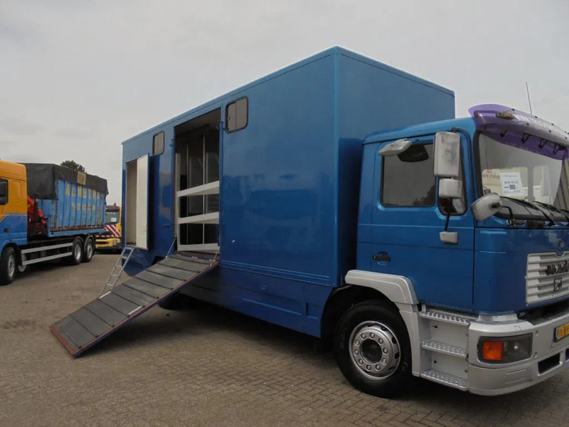 MAN 12 .225 + MANUAL - Paardenvrachtwagen: afbeelding 2 MAN 12 .225 + MANUAL - Paardenvrachtwagen: afbeelding 2