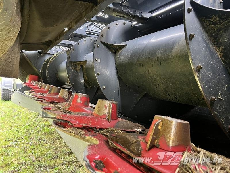 Capello Spartan 610 - Maaimachine: afbeelding 3 Capello Spartan 610 - Maaimachine: afbeelding 3