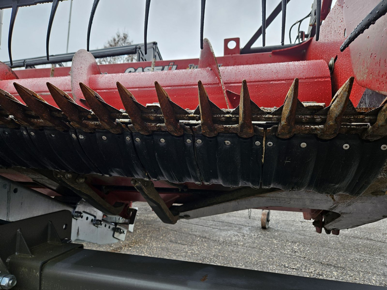 Graanmaaibord Case IH 3020 20Ft: afbeelding 6