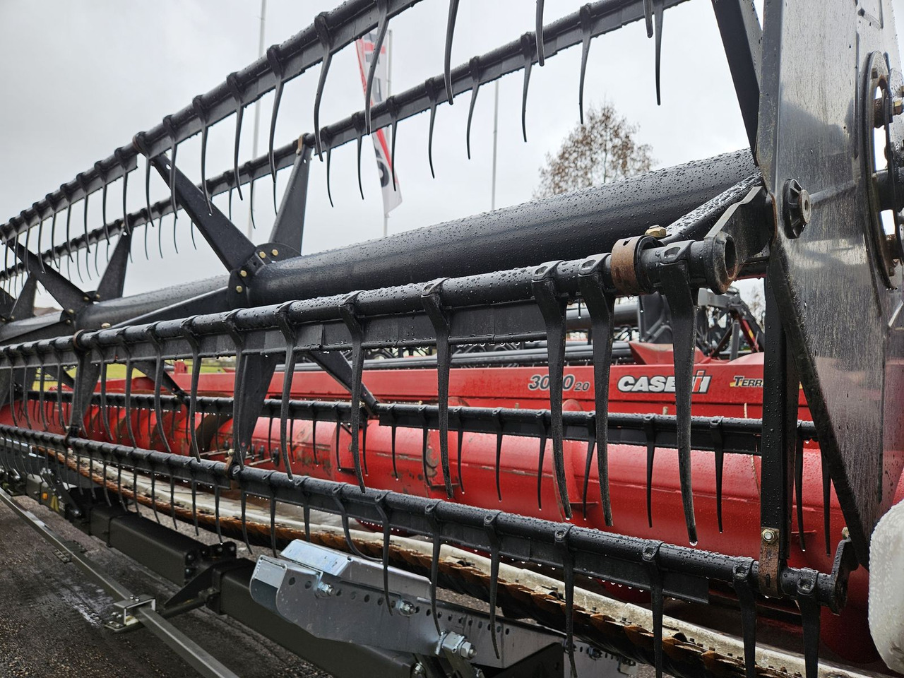 Graanmaaibord Case IH 3020 20Ft: afbeelding 8