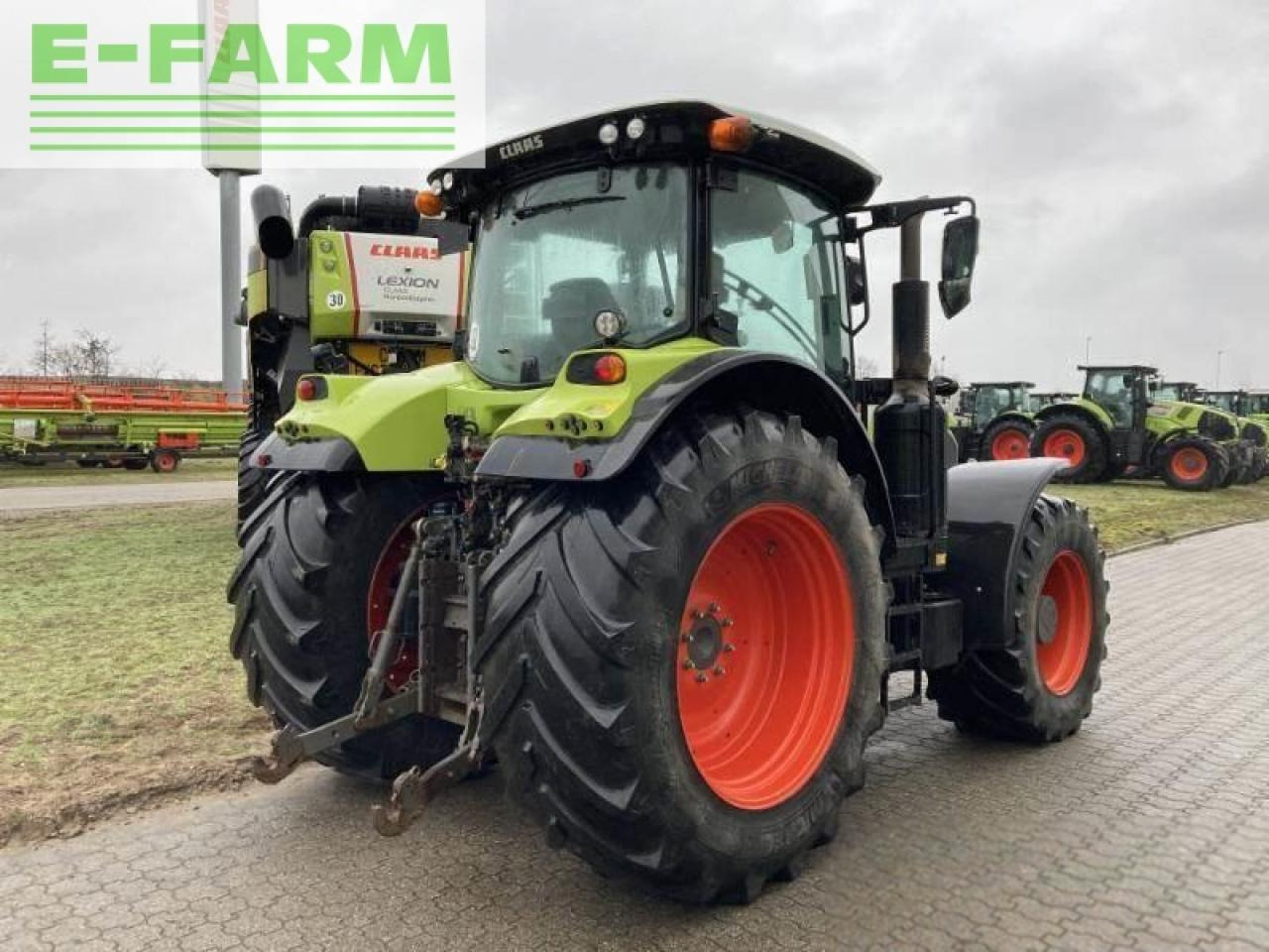 CLAAS arion 650 st4 hexa - Tractor: afbeelding 5 CLAAS arion 650 st4 hexa - Tractor: afbeelding 5
