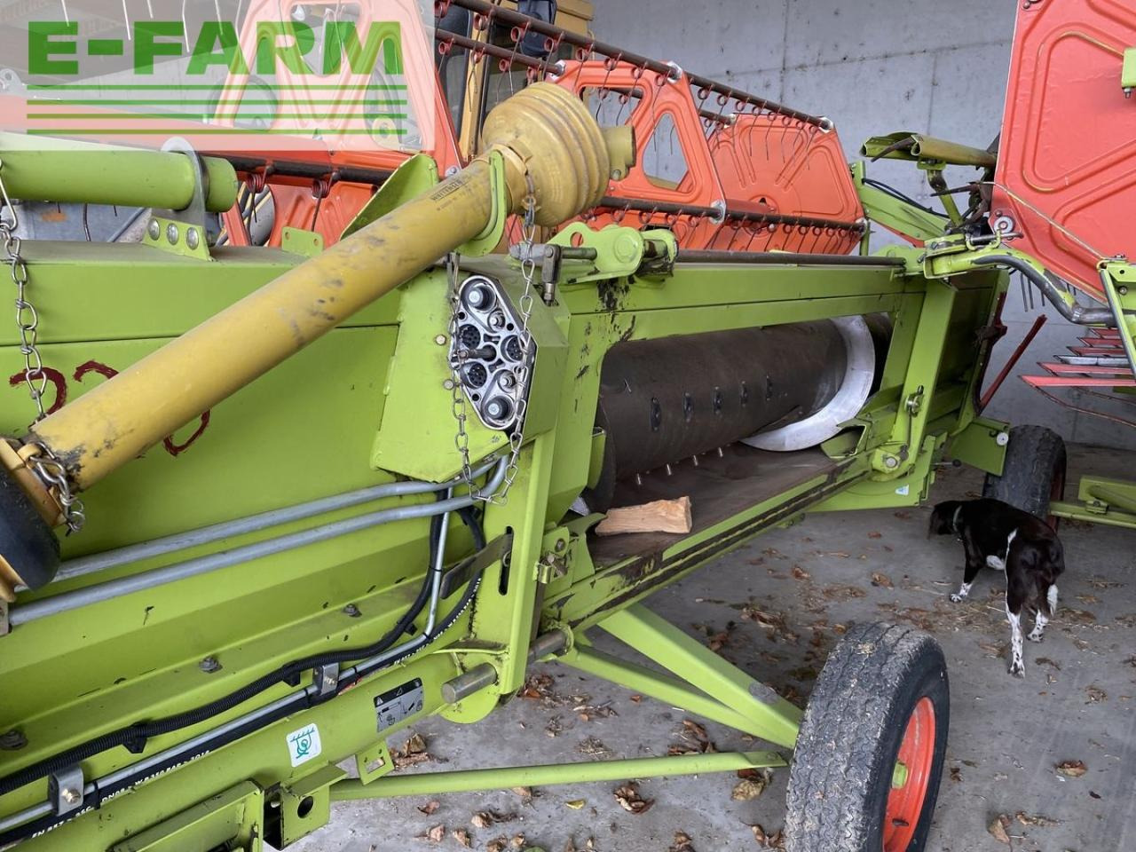 CLAAS c 430 - Graanmaaibord: afbeelding 4 CLAAS c 430 - Graanmaaibord: afbeelding 4