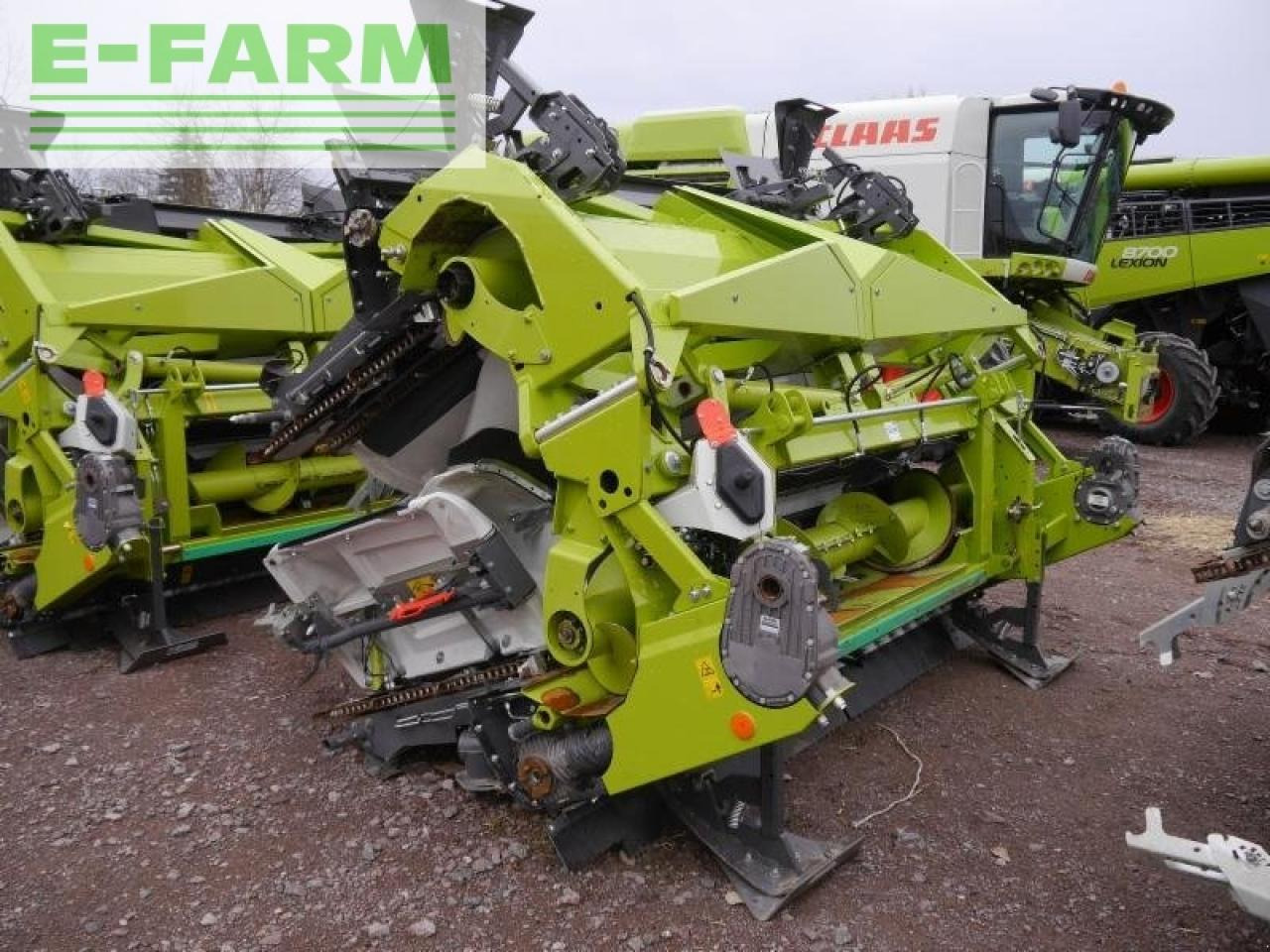 CLAAS corio 875 fc conspeed - Maiskolvenplukker: afbeelding 4 CLAAS corio 875 fc conspeed - Maiskolvenplukker: afbeelding 4