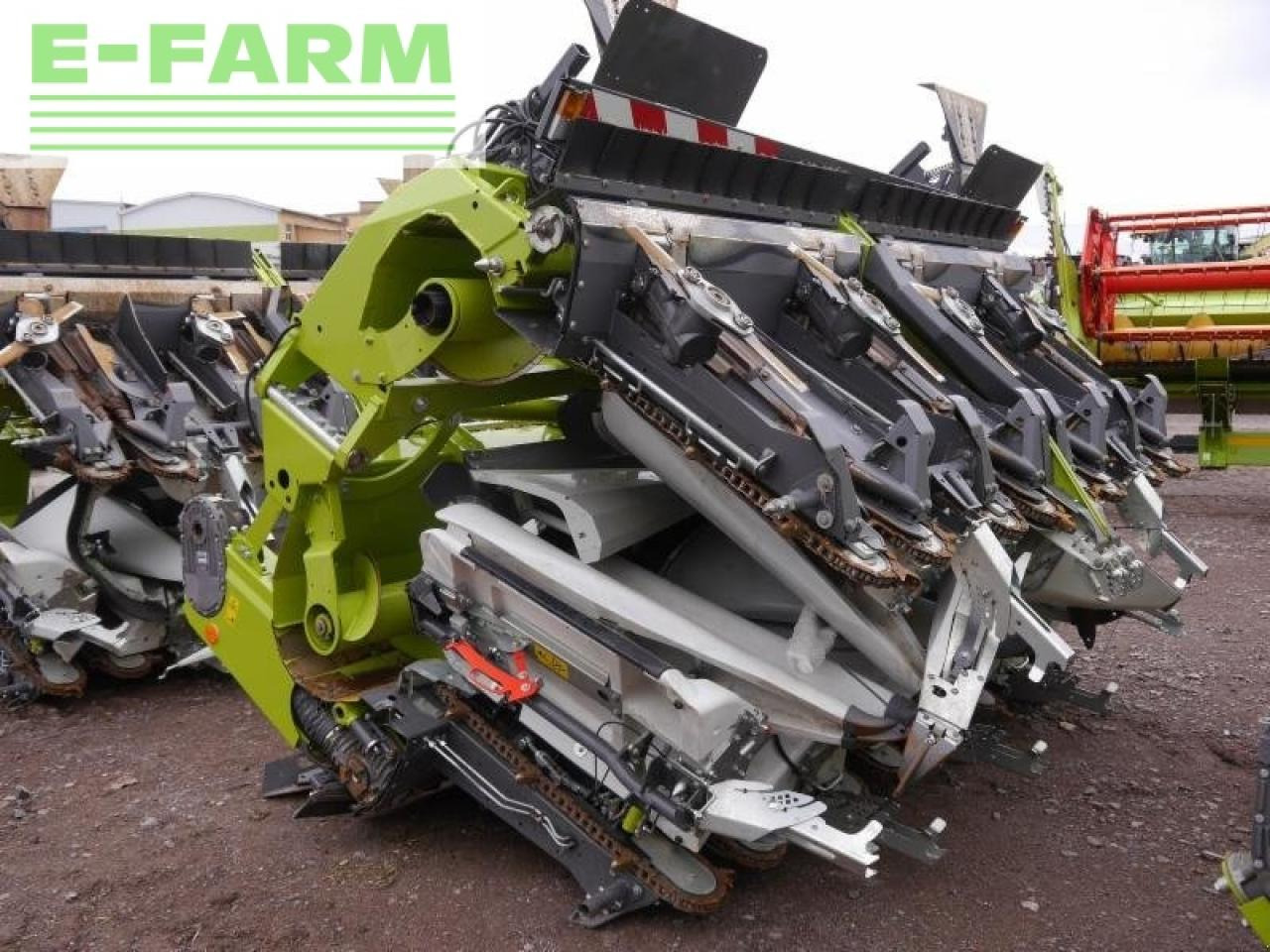 CLAAS corio 875 fc conspeed - Maiskolvenplukker: afbeelding 1 CLAAS corio 875 fc conspeed - Maiskolvenplukker: afbeelding 1