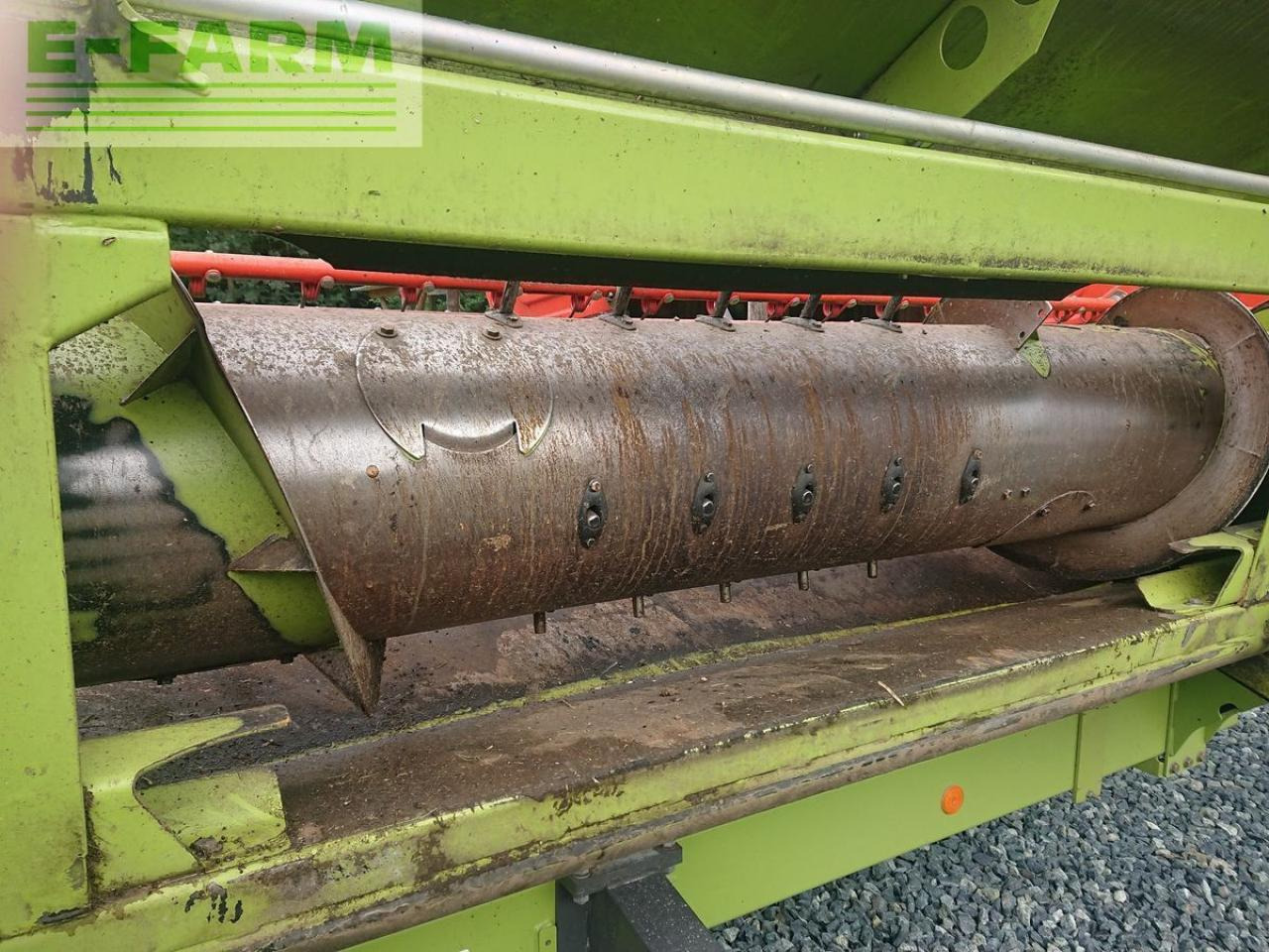 CLAAS v600 vario + raps - Graanmaaibord: afbeelding 5 CLAAS v600 vario + raps - Graanmaaibord: afbeelding 5