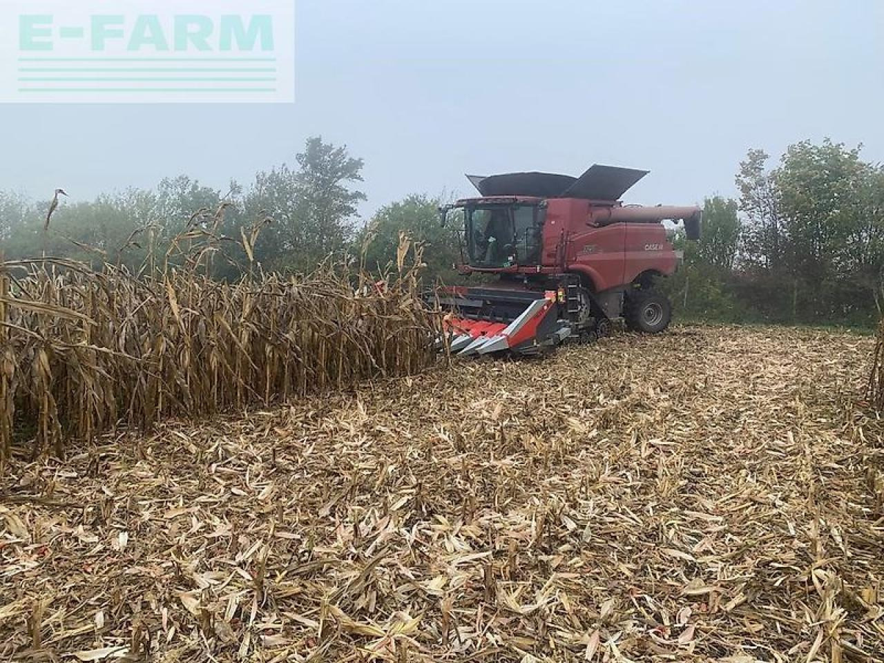 Case-IH 7250 - Maaidorser: afbeelding 2 Case-IH 7250 - Maaidorser: afbeelding 2
