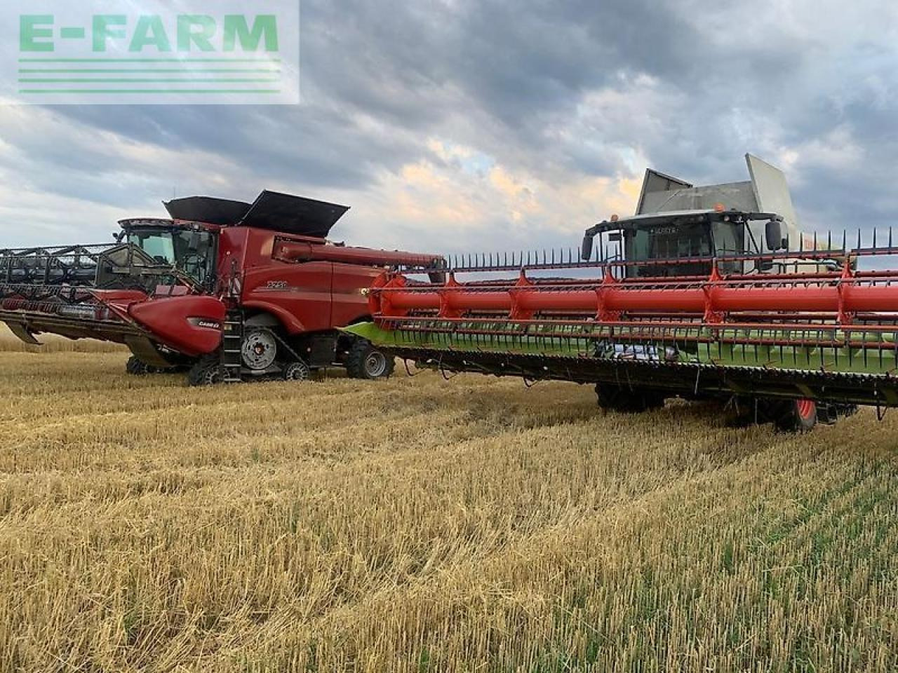 Case-IH 7250 mit flexschneidwerk soja 9m 4 wd (allrad)3,49m aussenbreite - Maaidorser: afbeelding 5 Case-IH 7250 mit flexschneidwerk soja 9m 4 wd (allrad)3,49m aussenbreite - Maaidorser: afbeelding 5