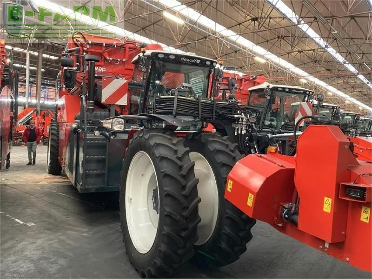 Dewulf rqa3060 demomaskine - Aardappelrooier: afbeelding 5 Dewulf rqa3060 demomaskine - Aardappelrooier: afbeelding 5