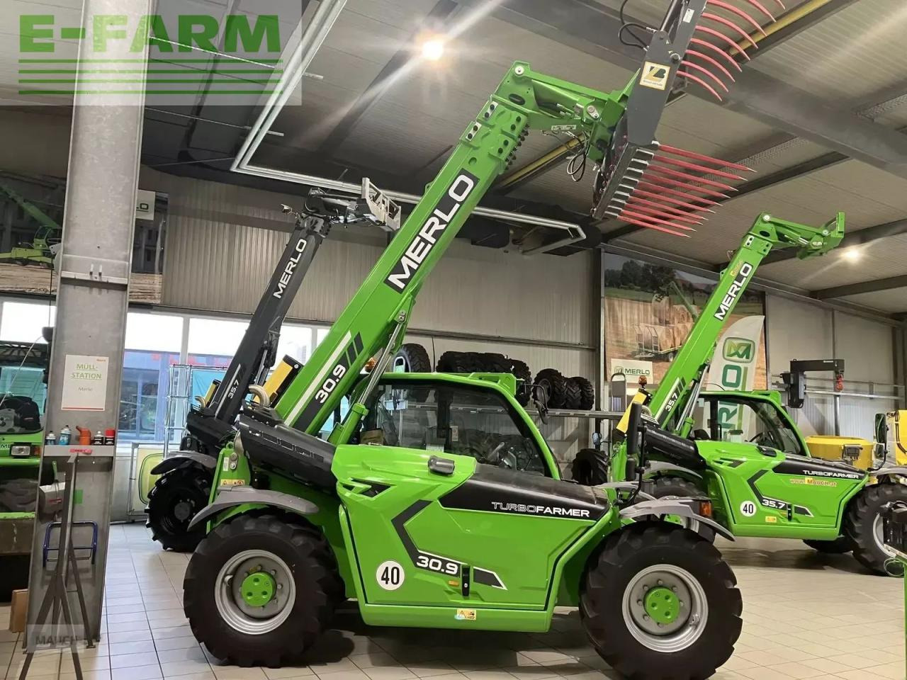 Merlo sommeraktion - Verreiker: afbeelding 3 Merlo sommeraktion - Verreiker: afbeelding 3