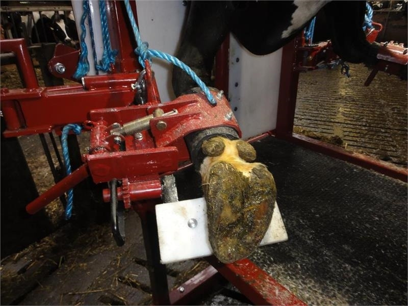 Pomi Std1 Fabriksny  - Veeteelt materiaal: afbeelding 3 Pomi Std1 Fabriksny  - Veeteelt materiaal: afbeelding 3