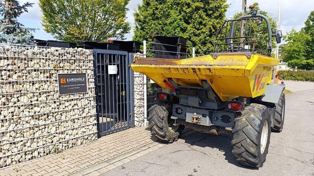 Wacker Neuson Dumper Wacker Neuson DV 60, Dual View, 6 t, Allrad - Minidumper: afbeelding 4 Wacker Neuson Dumper Wacker Neuson DV 60, Dual View, 6 t, Allrad - Minidumper: afbeelding 4