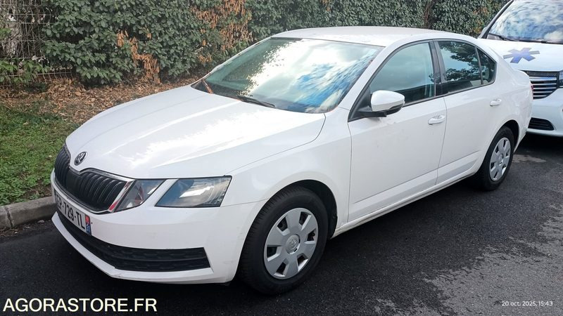 EP-729-TL - Non Roulant - SKODA OCTAVIA - VP -  349 390 Kms - Personenwagen: afbeelding 1 EP-729-TL - Non Roulant - SKODA OCTAVIA - VP -  349 390 Kms - Personenwagen: afbeelding 1