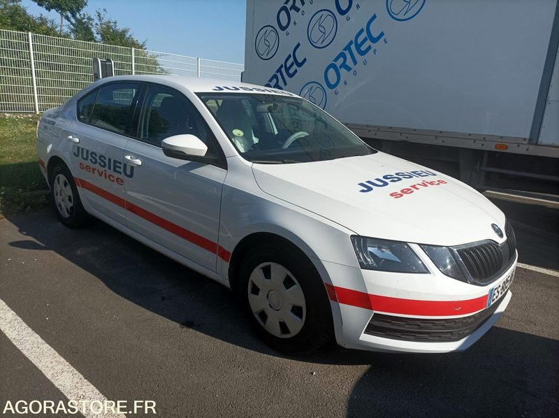 ES-805-WG - Non Roulant - Skoda Octavia - VP - 279 000 Kms - Personenwagen: afbeelding 1 ES-805-WG - Non Roulant - Skoda Octavia - VP - 279 000 Kms - Personenwagen: afbeelding 1