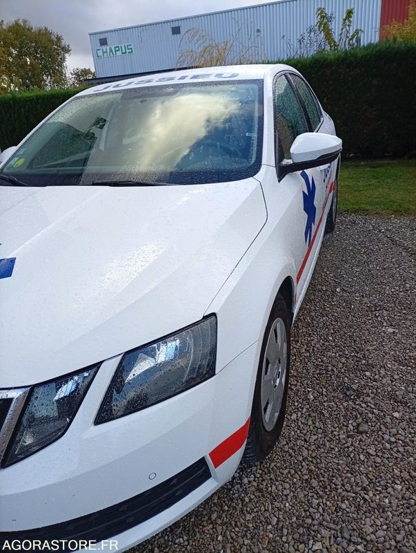 EX-669-TE - Roulant - SKODA OCTAVIA - VP - 391 640 Kms - Personenwagen: afbeelding 3 EX-669-TE - Roulant - SKODA OCTAVIA - VP - 391 640 Kms - Personenwagen: afbeelding 3