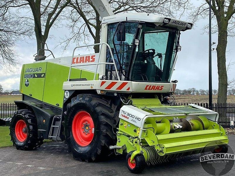 Claas Jaguar 830 492 - Hakselaar: afbeelding 2 Claas Jaguar 830 492 - Hakselaar: afbeelding 2