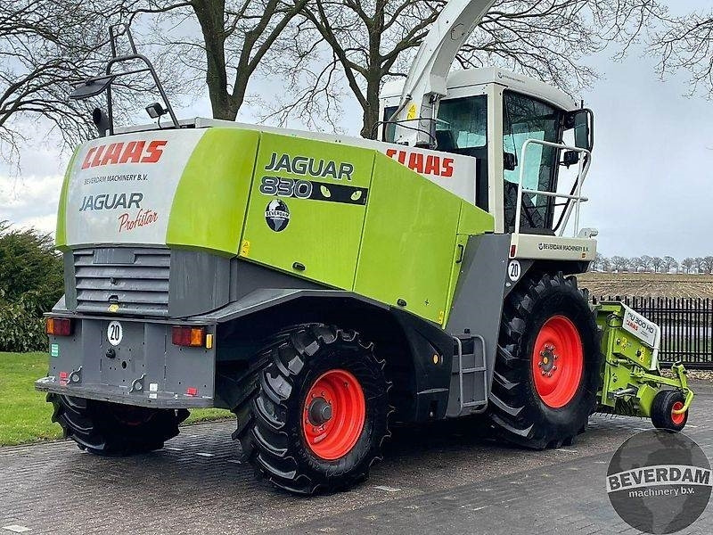 Claas Jaguar 830 492 - Hakselaar: afbeelding 4 Claas Jaguar 830 492 - Hakselaar: afbeelding 4